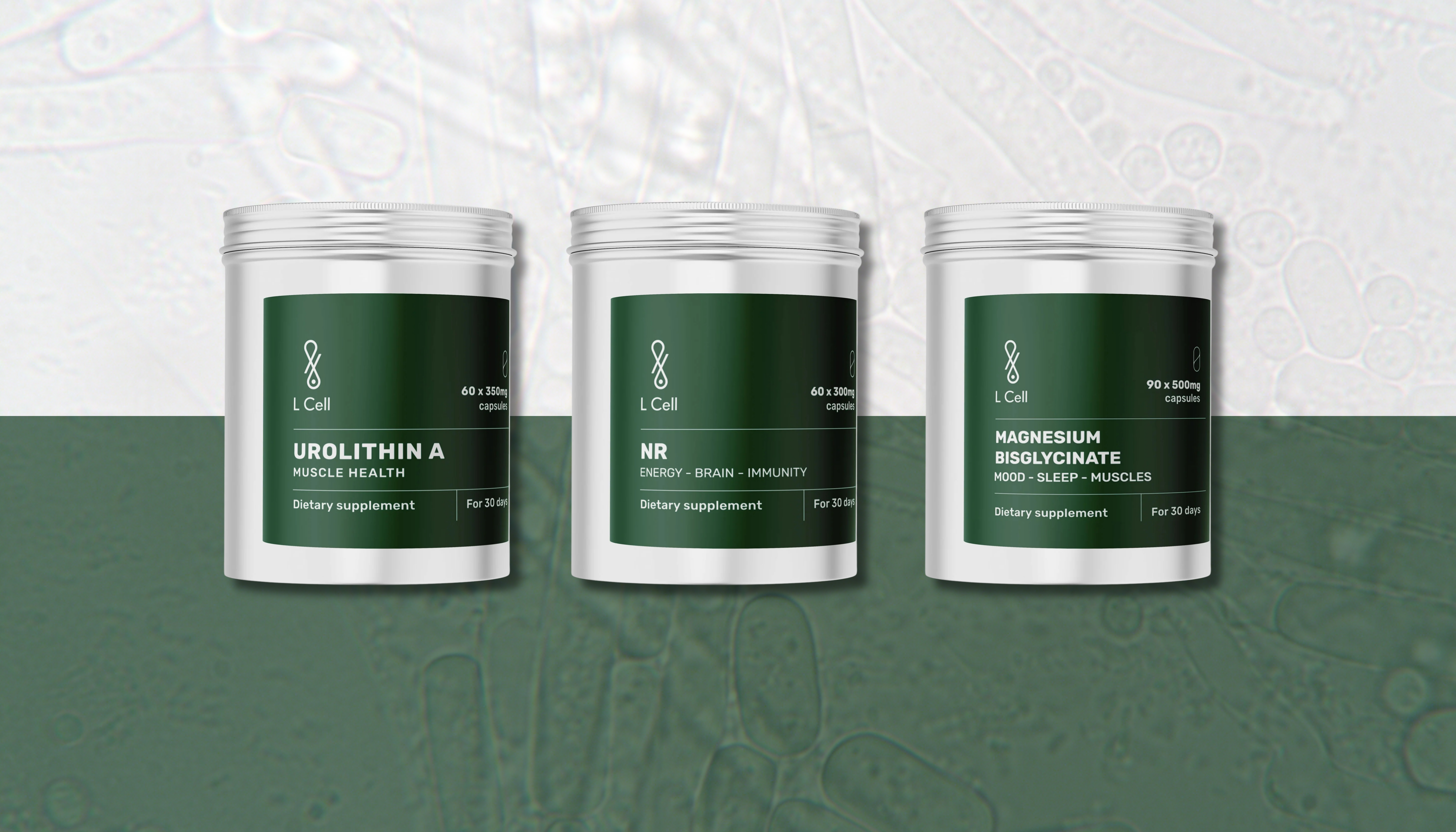 Cellular Energy and Longevity: What You Can Do Today