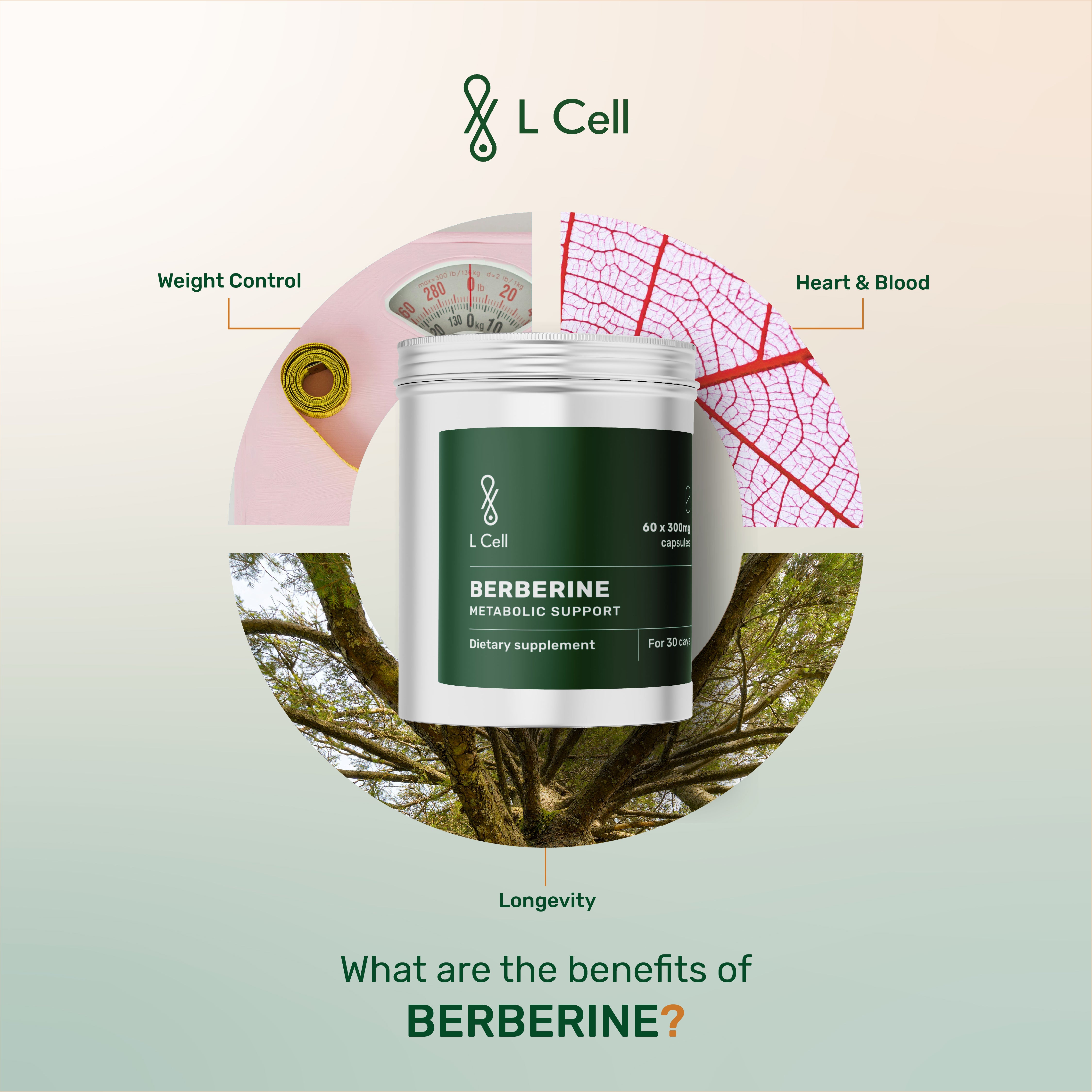 Berberine Capsules 300mg (30 days, 60 pc.)