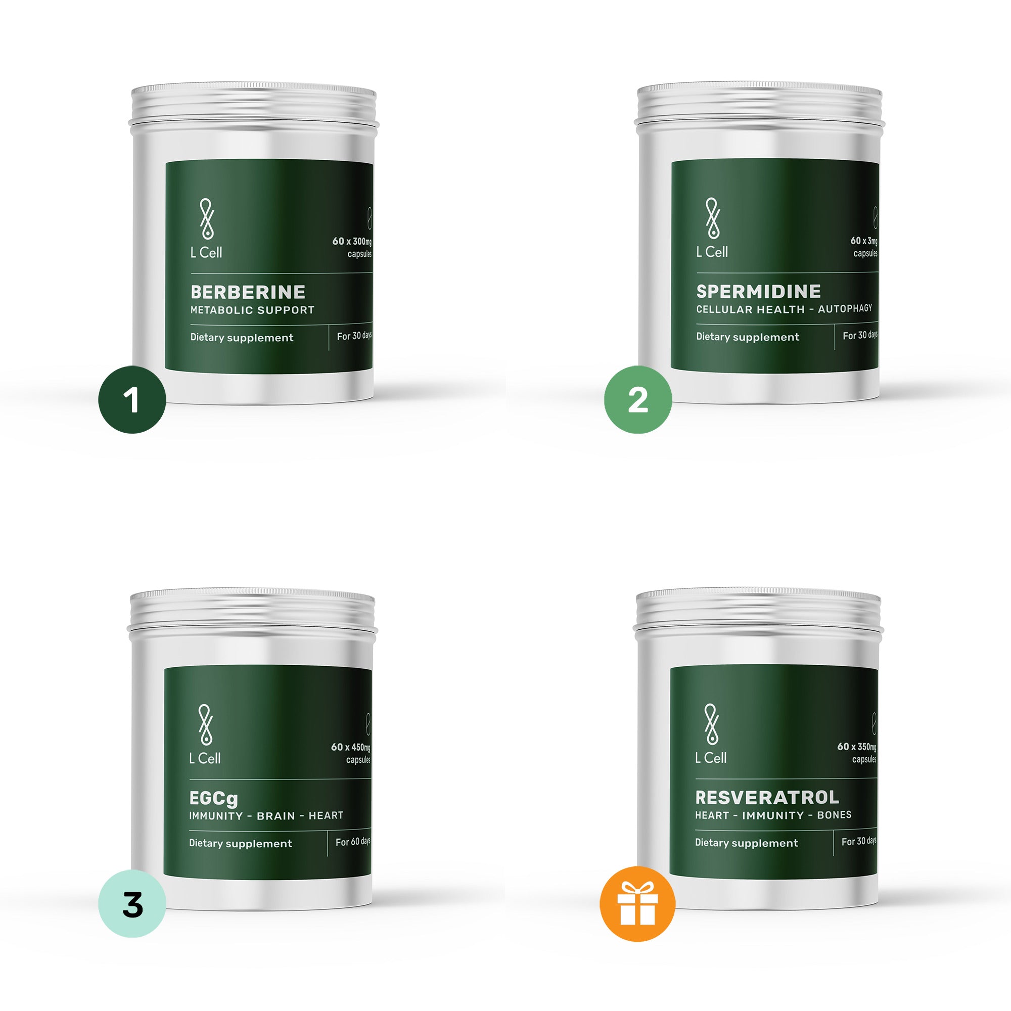 Fit Shape #1 set (for 30 days)