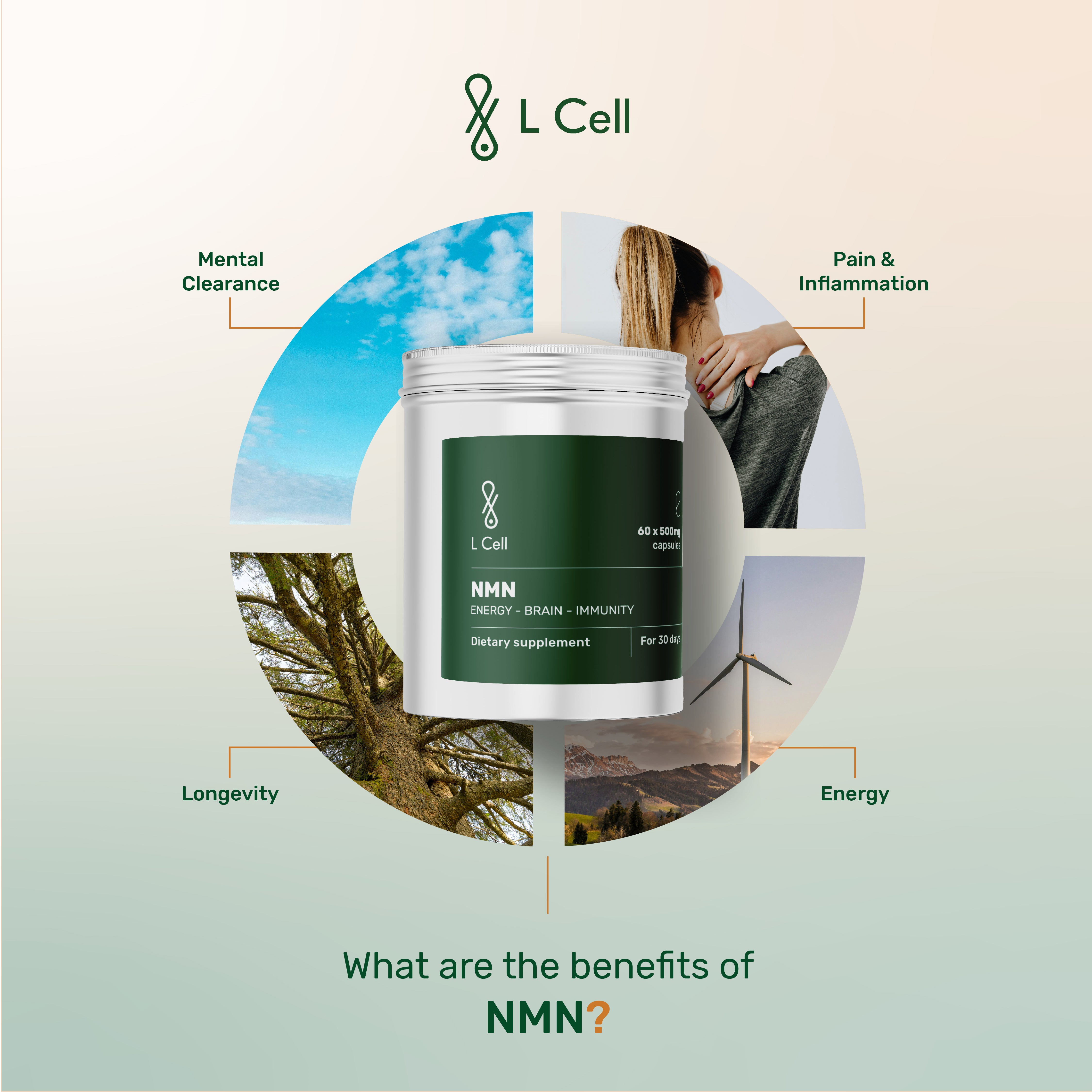 NMN Capsules 500mg (30 days, 60pc)