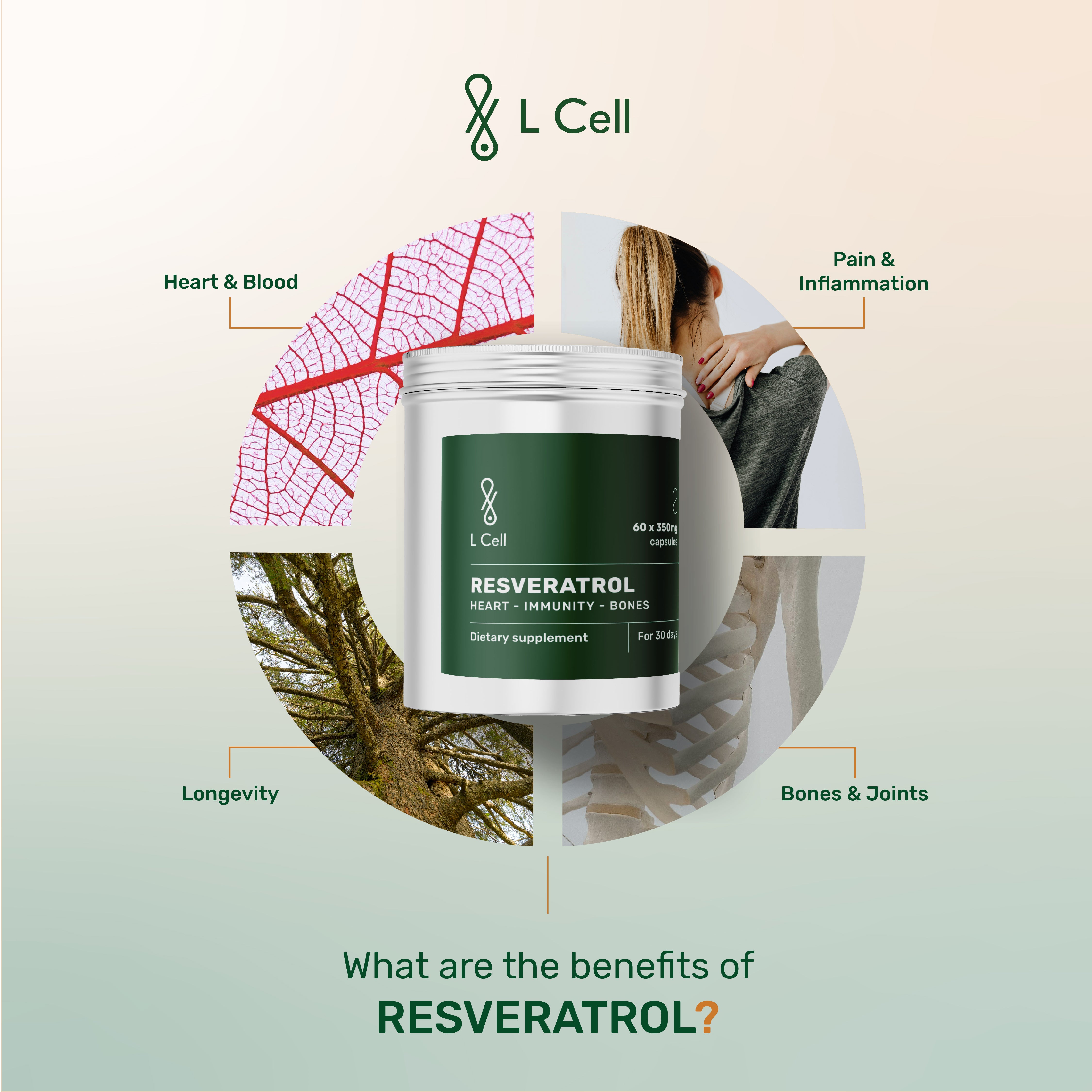 Trans Resveratrol Capsules 300mg (30 days, 60 pc.)