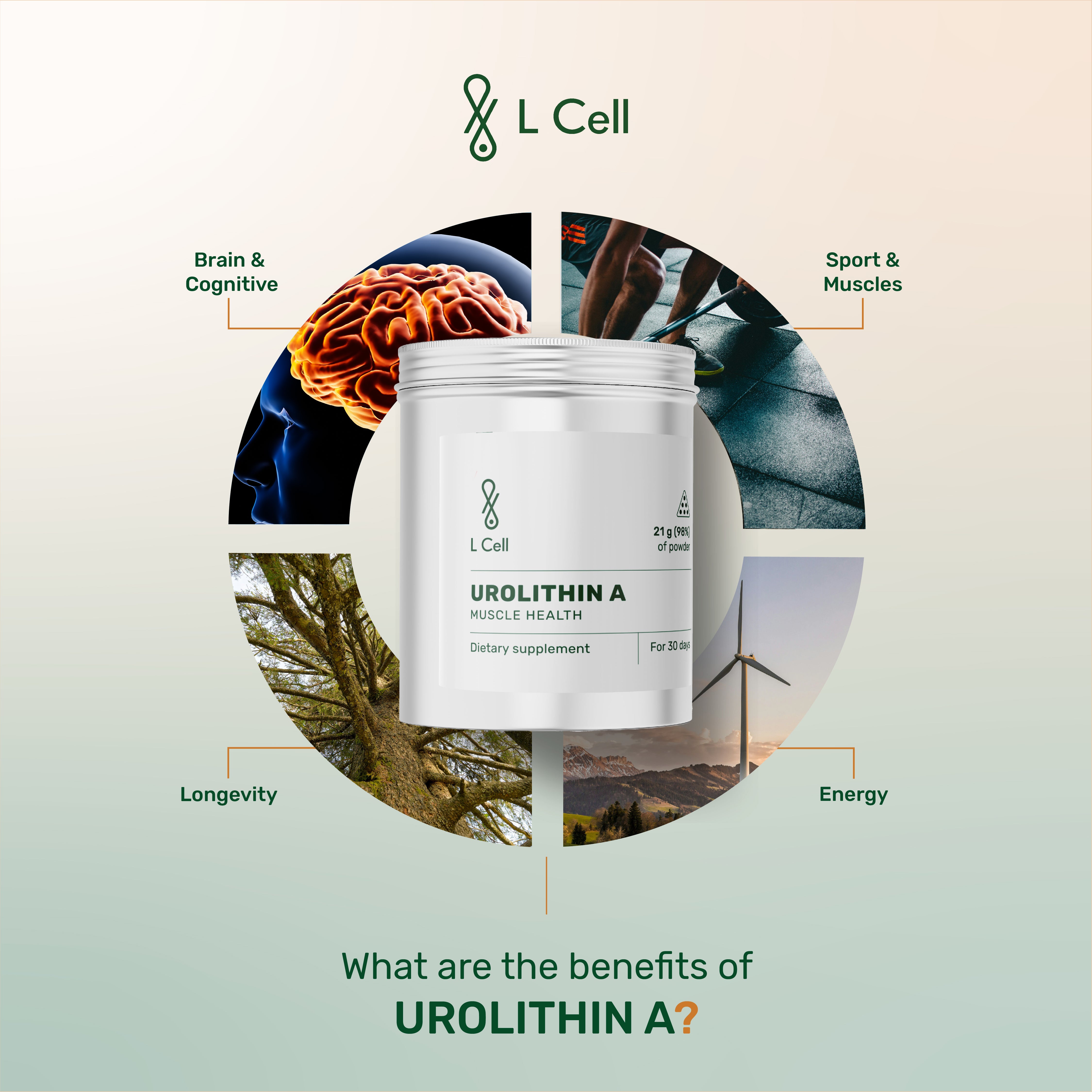 Urolithin A Capsules 350mg (30 days, 60 pc.)