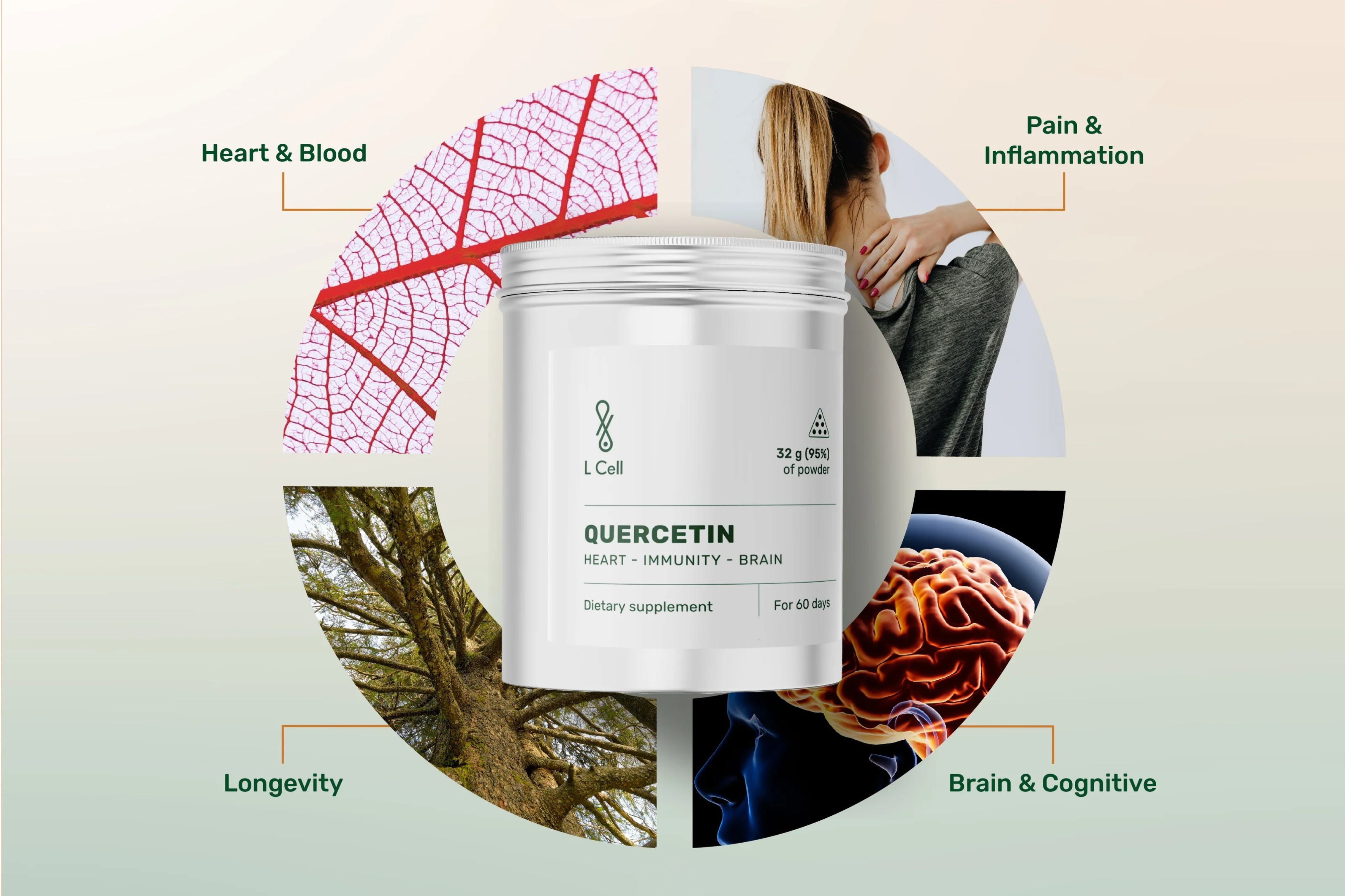 Quercetin: why this flavonoid matters in the context of healthy aging?