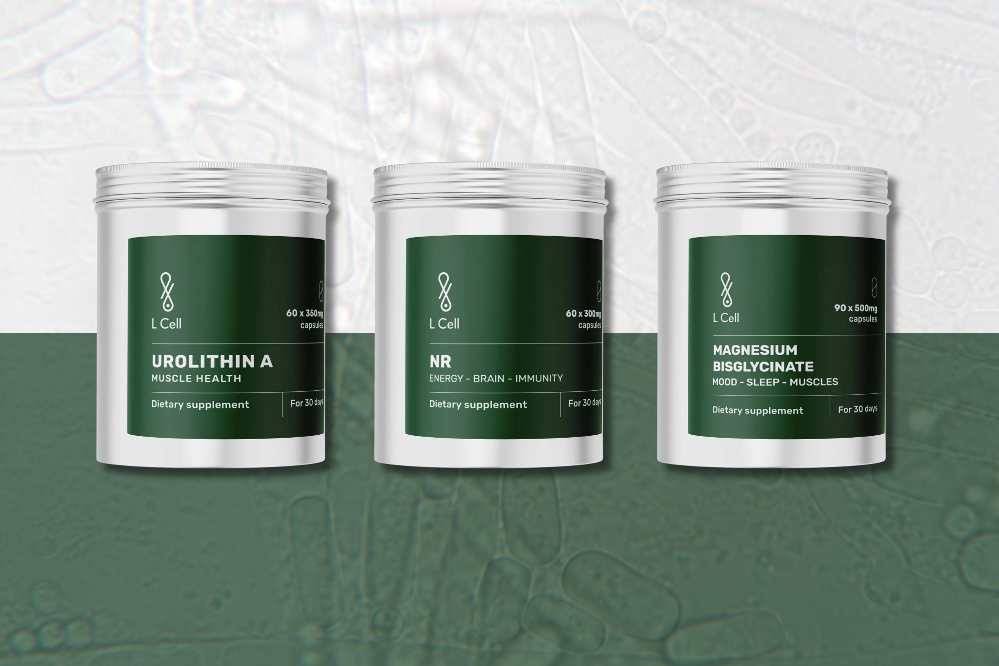 Cellular Energy and Longevity: What You Can Do Today