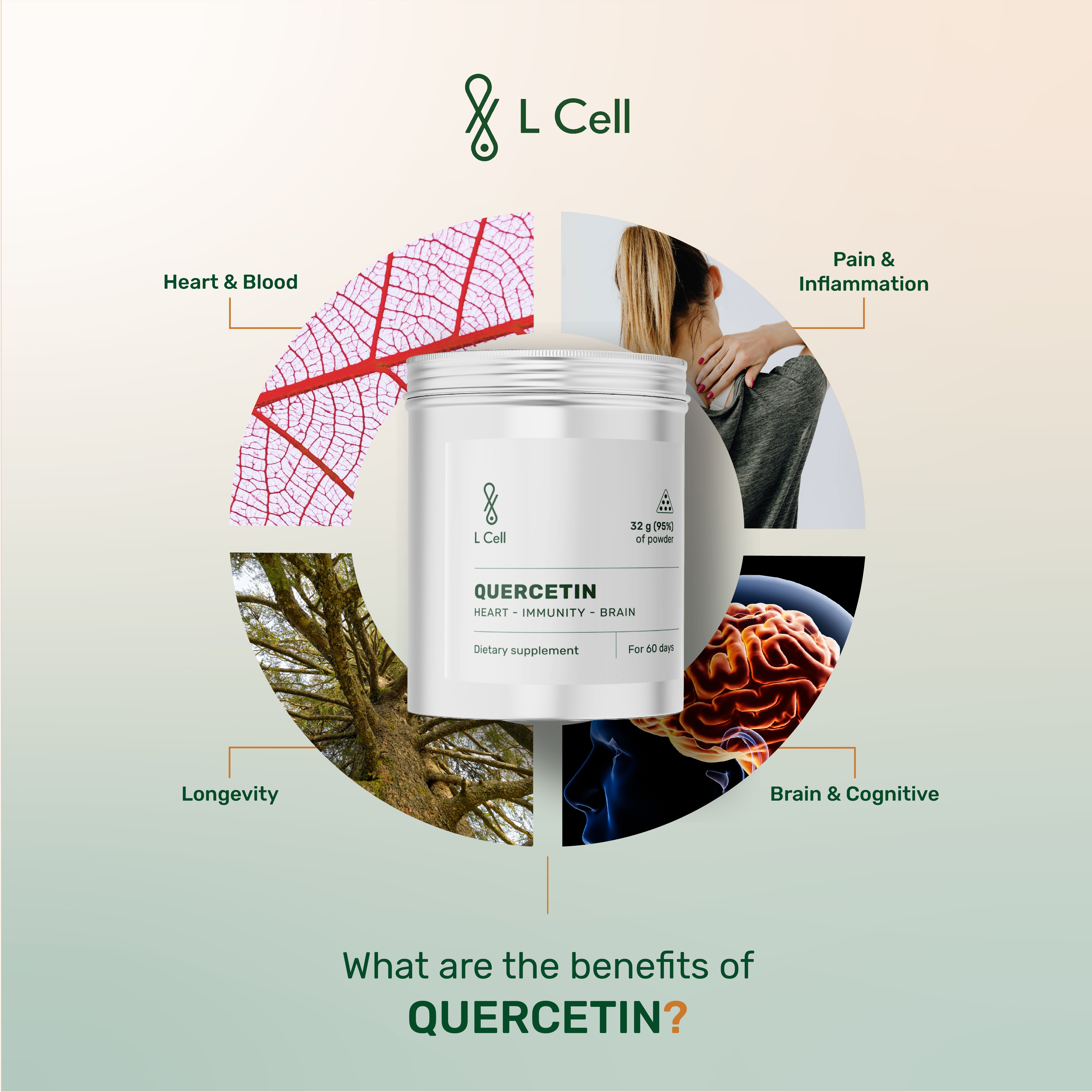 Quercetin Capsules 250mg (30 days, 60 pc.)